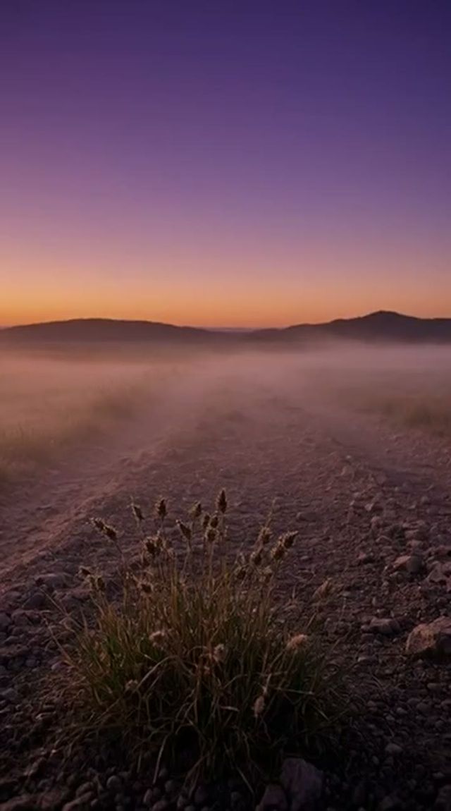 wilderness mist, locked